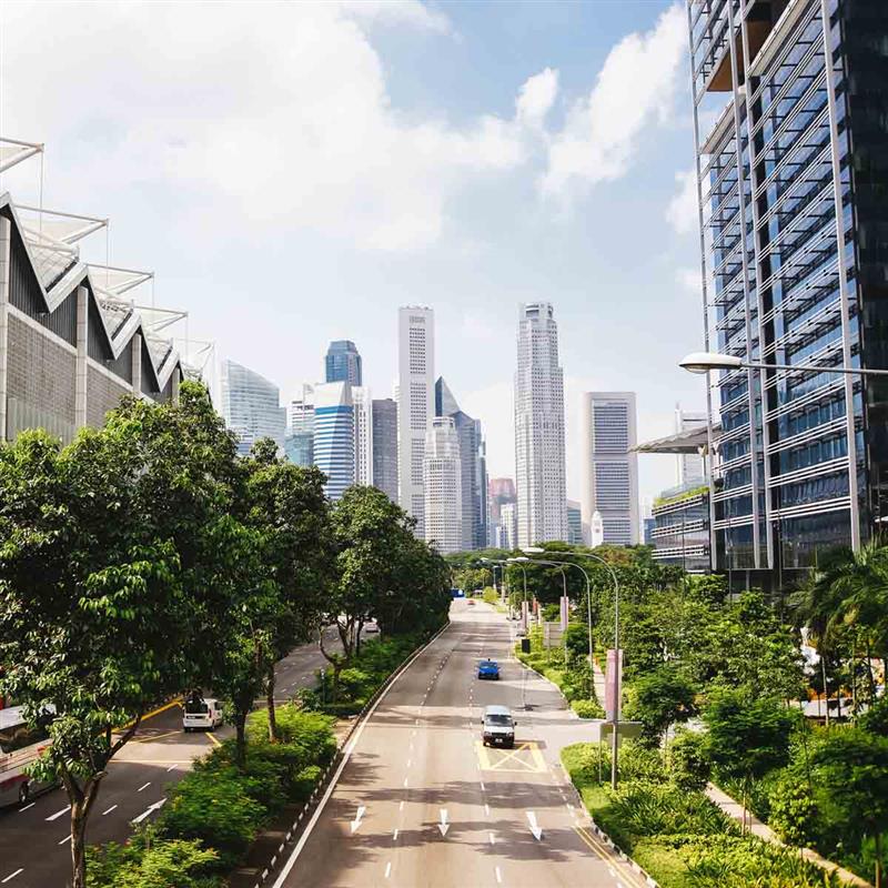 Sustainability and impact advice