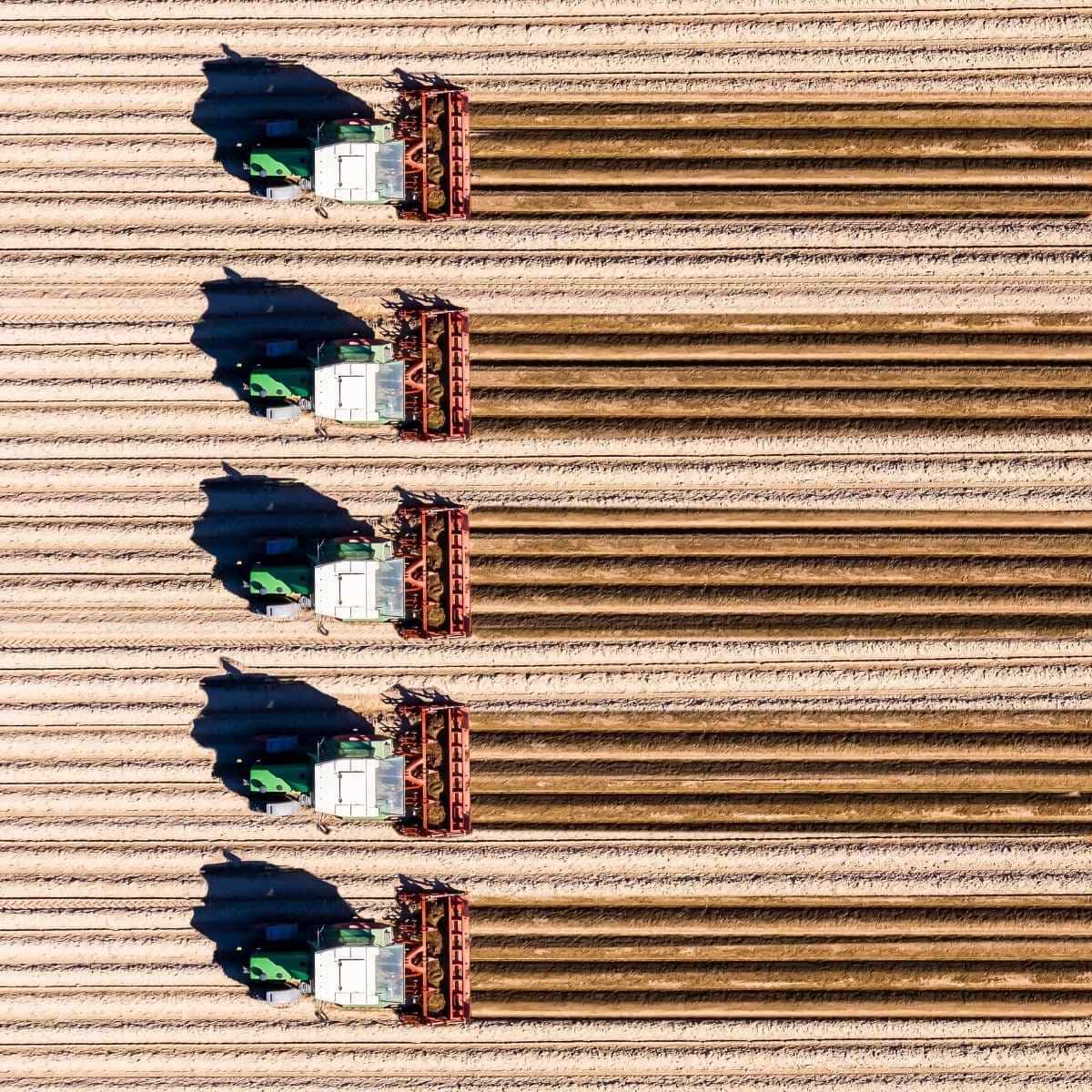 Onzekerheid als nieuw normaal