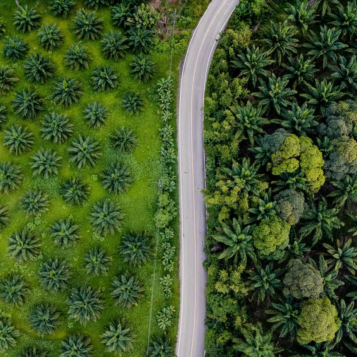 Duurzaamheid, sustainable, impact