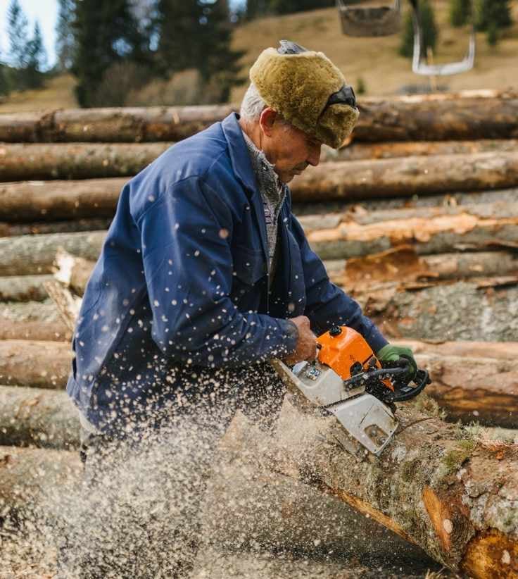 The EUDR saga continues: what businesses need to know and can do