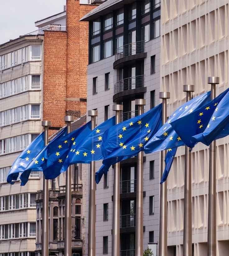 EES: immigration announcement