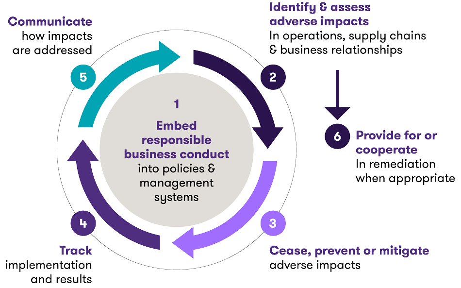 the due diligence proces following OECD guidelines