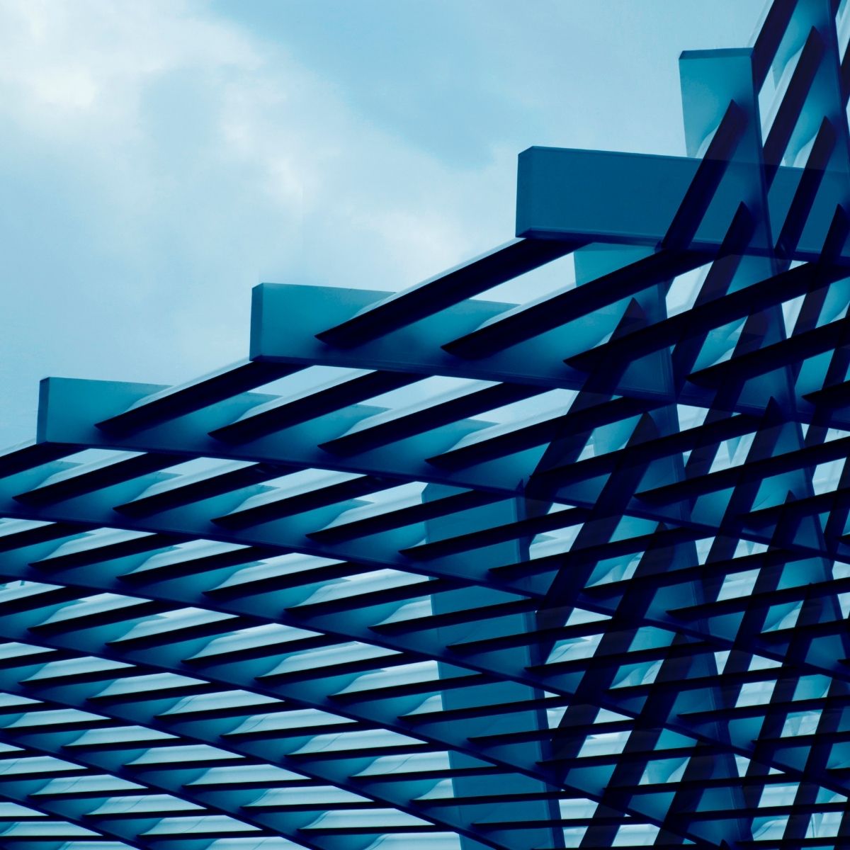 Thriving through disruption