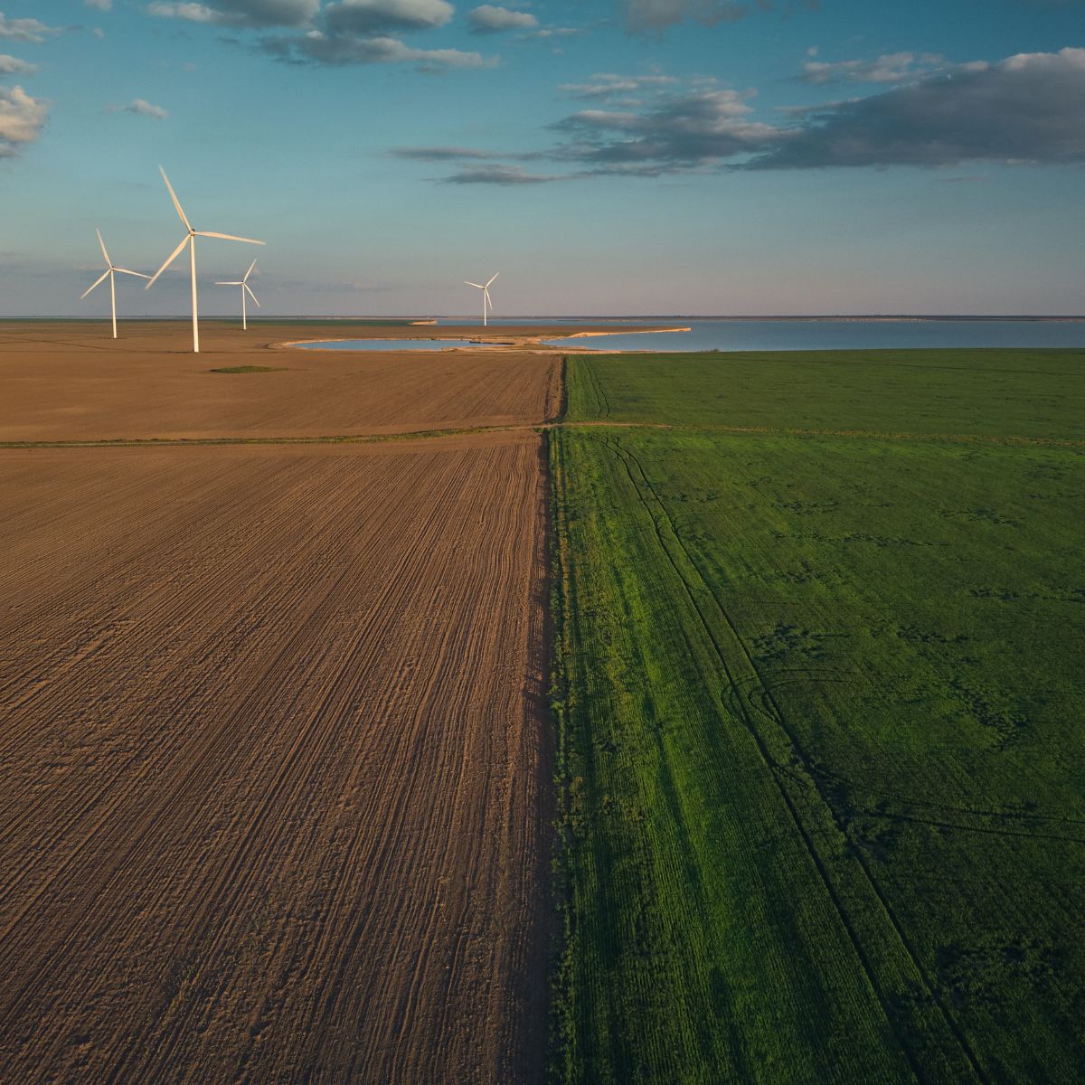 Climate Transition Plans