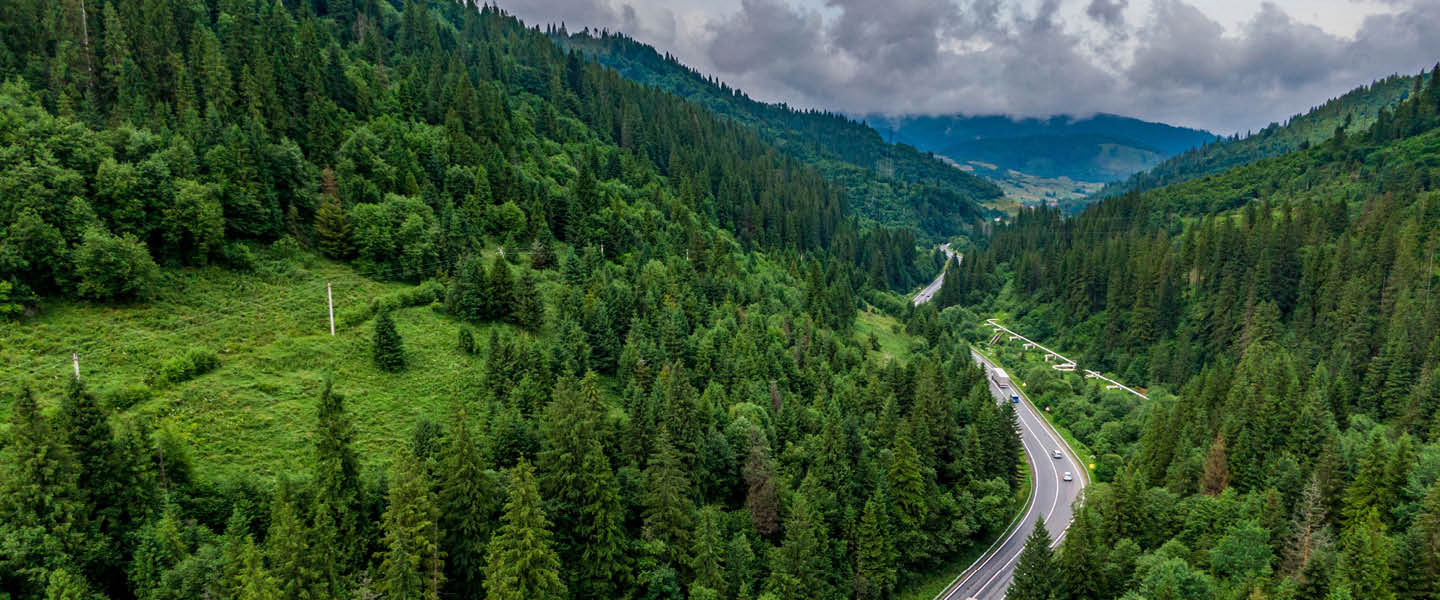 a road with vehicles passing through a forest