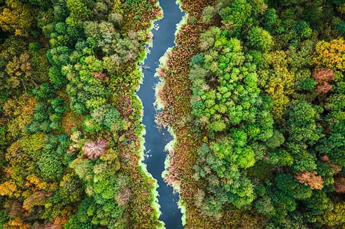 De rvc, ESG en biodiversiteit