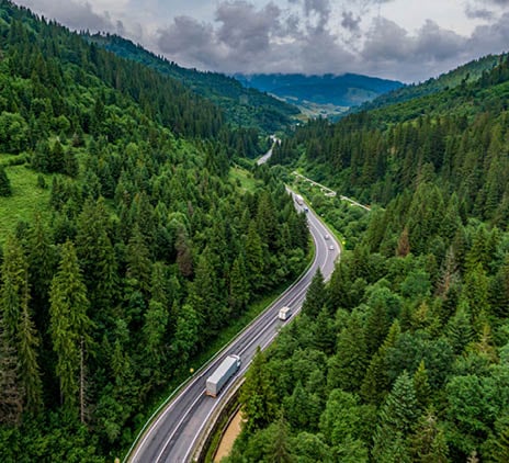 a road with vehicles passing through a forest