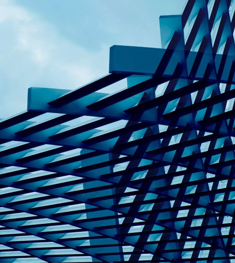 Thriving through disruption: A differentiator for growth