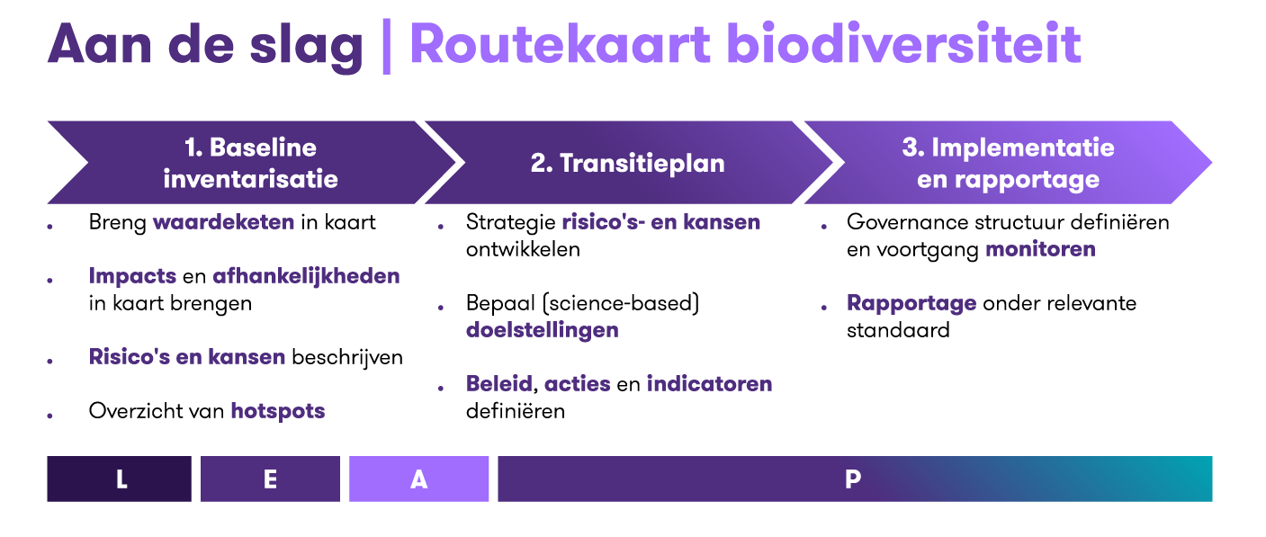 Routekaart biodiversiteit