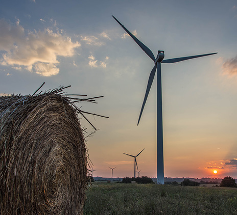 Sustainable Boardrooms