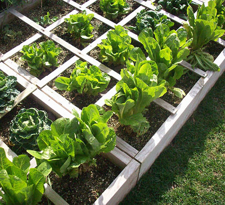 Sustainable Boardrooms